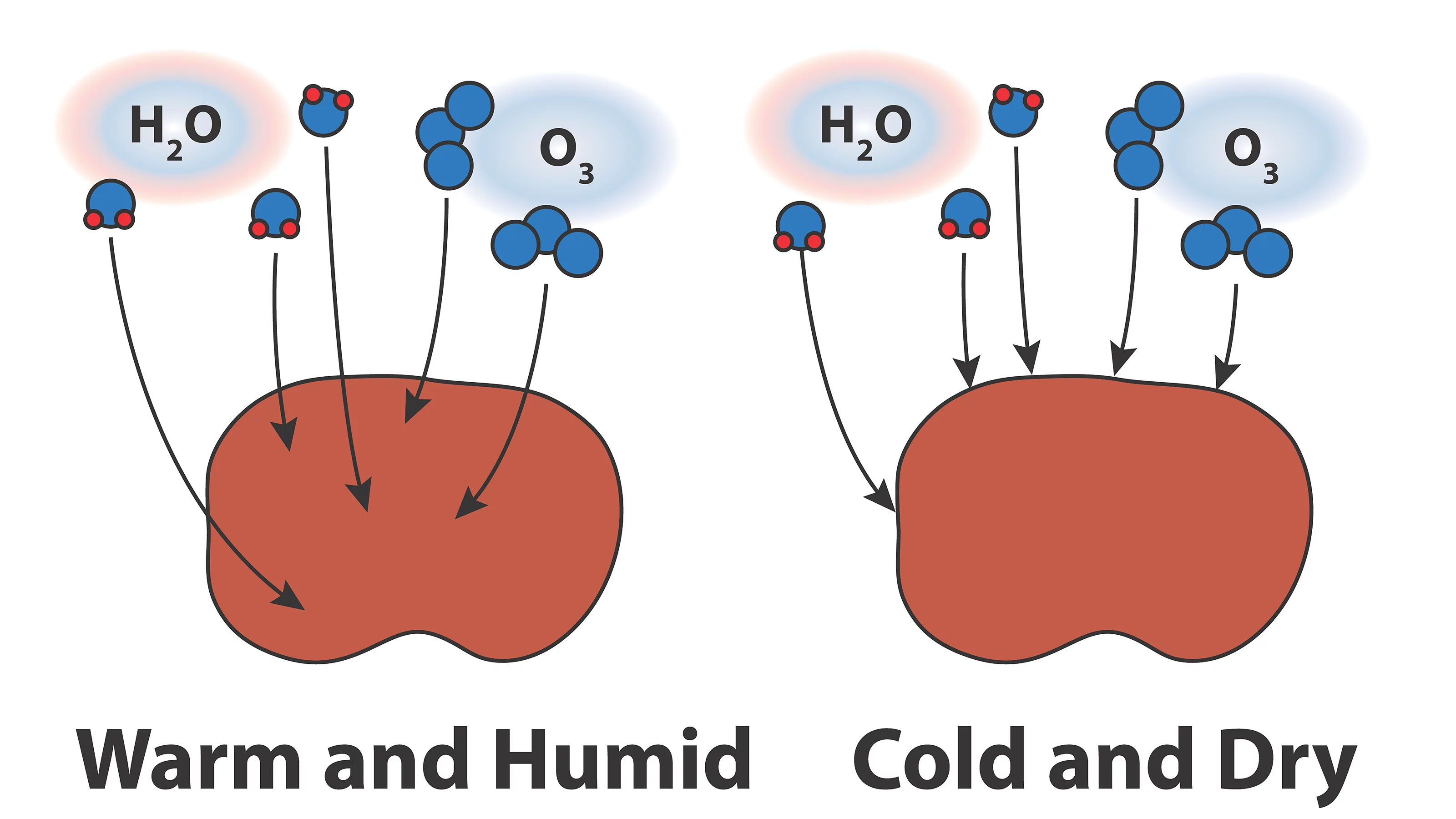 Diffusion of water vapor and traces gasses within a particle can be limited when a particle becomes highly viscous, typically occurring in dry and cold environments. This can impact processes such as chemical reactions and physical phenomena such as droplet and ice nucleation.