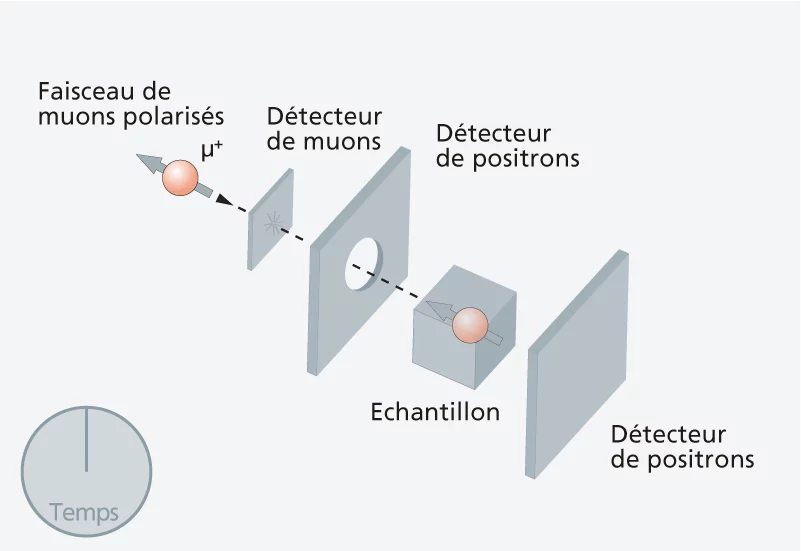 1. Des muons polarisés sont implantés dans l'échantillon.