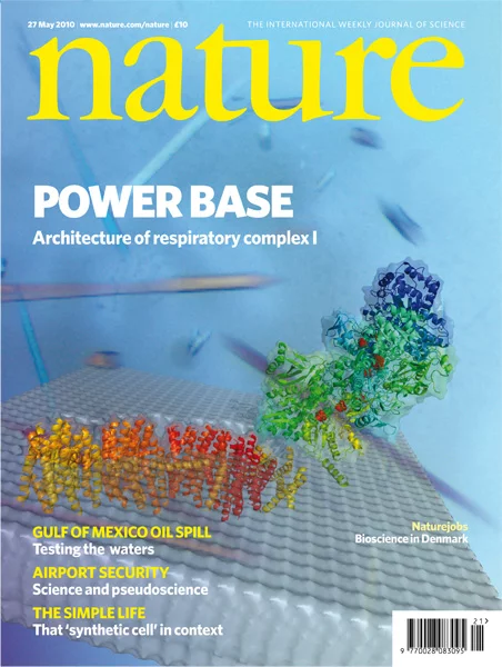 Komplex I auf dem Umschlag des Wissenschaftsmagazins Nature Reprinted by permission from Macmillan Publishers Ltd: Efremov, R. G., Baradaran, R. & Sazanov, L. A. Nature 465, 441–445 (2010)
