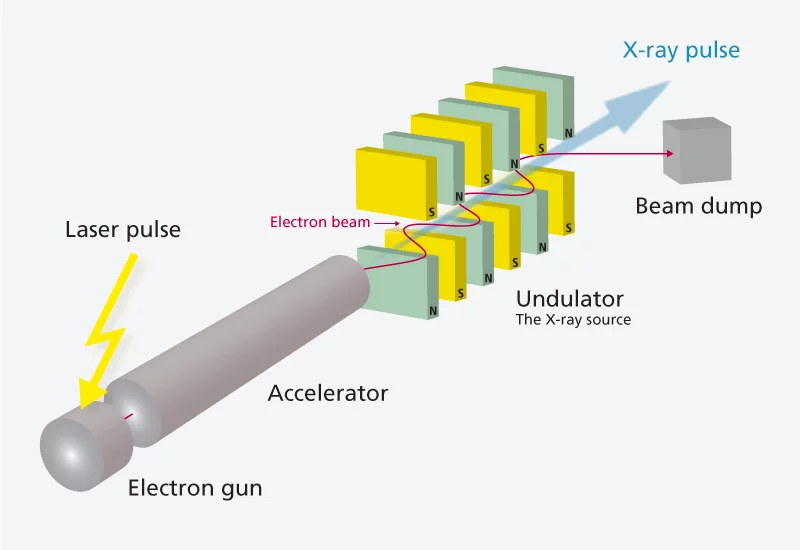 Layout of the SwissFEL facility showing its essential components. The red line indicates the path of the electron beam. (Not to scale.)