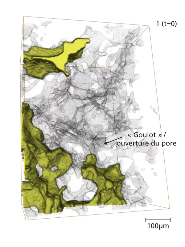 Befüllung einer einzelnen Pore über die Flaschenhals-Öffnung am unteren Ende. Oben: Die Startsequenz  Unten: Eine Aufnahme nach 16.8 Sekunden