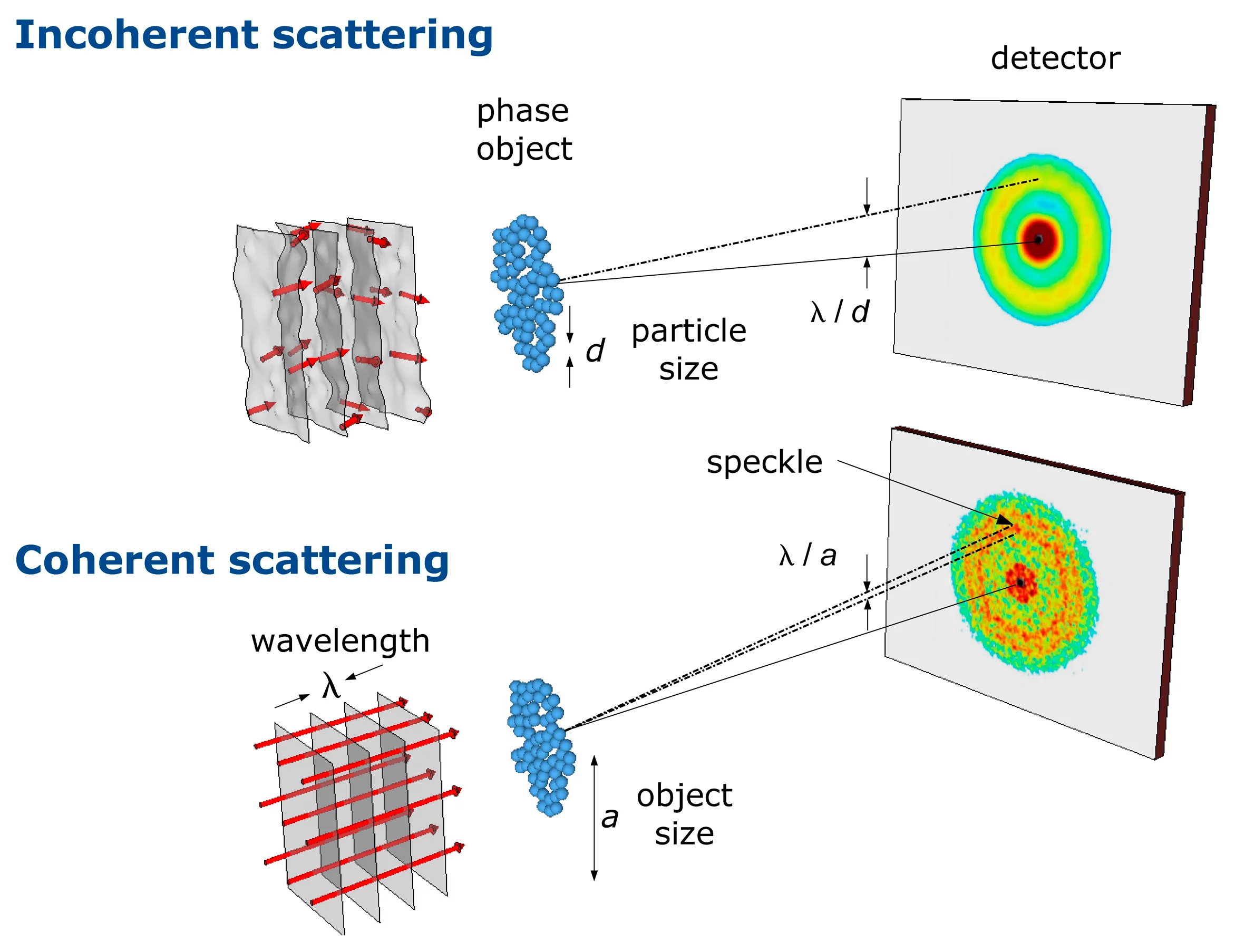 Schematic representation of a study with