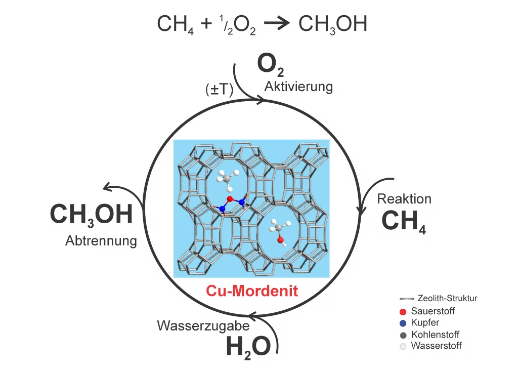 Das zyklische Verfahren zur Umwandlung von Methan zu Methanol besteht aus vier Schritten: die Aktivierung mit Sauerstoff, die Reaktion von Methan und Sauerstoff zur Produktion von Methanol, die Zugabe von Wasser und die anschliessende Abtrennung des Endprodukts Methanol.Bild: Paul Scherrer Institut