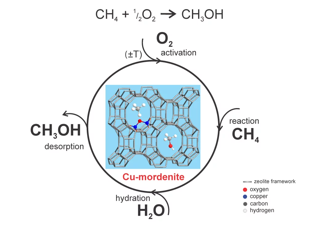 The cyclic process for conversion of methane to methanol consists of four Stepps: the activation with oxygen, the hydration, the raction of methane with oxygen to form methanol and the subsequent desorption of methanol as an end product. Source: Paul Scherrer Institute