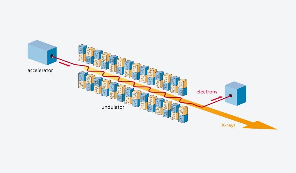 The principle of X-ray light generation in an undulator. The accelerated electrons are forced to follow a wavy path with the aid of magnets, and thereby radiate X-ray light that will be guided to the experiments. The electrons will then no longer be needed and will end up in a beam stop.