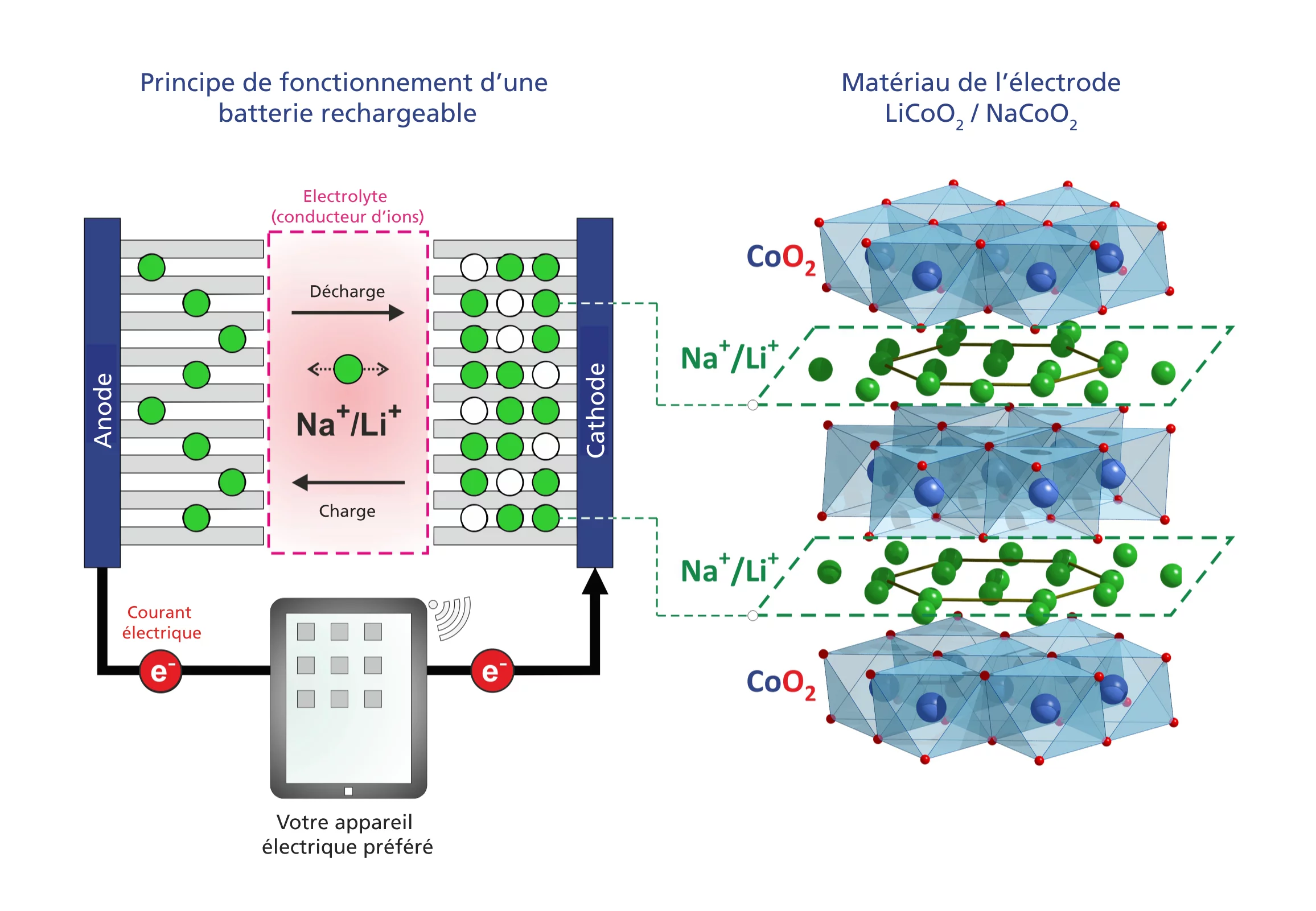 Principe de fonctionnement d’une batterie lithium-ions ou d’une future batterie sodium-ions (à gauche), et structure du matériau de la cathode (à droite). Le matériau de la cathode est composé de couches d’oxyde de cobalt (CoO2) entre lesquelles se trouvent des couches d’ions mobiles de lithium, respectivement de sodium. Les endroits où les ions pourraient se trouver dans la couche forment un triangle. Lors de la décharge, les ions dans la batterie s’écoulent à travers l’électrolyte de la cathode à l’anode…