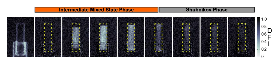 Das Ergebnis des Experiments: Die Probe wurde immer stärkeren Magnetfeldern ausgesetzt (zunehmend von links nach rechts) und parallel zu den Flussschläuchen mit Neutronen durchleuchtet. Die hellen Bereiche sind diejenigen, in denen Flussschläuche in Inseln auftreten. Bei schwächeren Feldern füllen die Inseln das Innere der Probe, während am Rand keine Flussschläuche auftreten. (Nature Communications, CC BY 4.0)