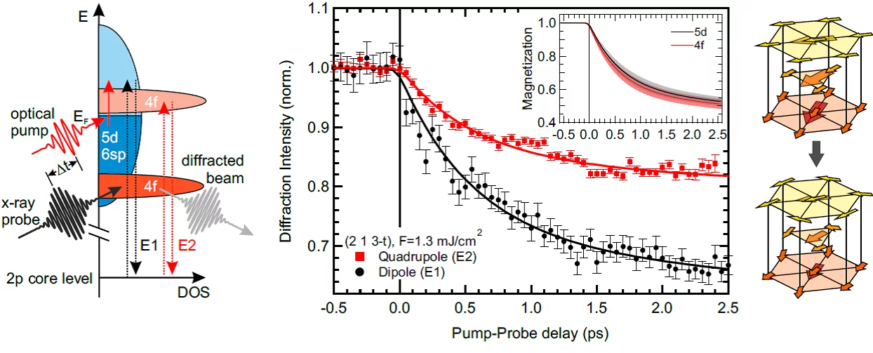 Left: Schematic view of electric dipole and quadrupole transitions probing the band like 5d and localized 4f magnetic subsystems of elemental Holmium, respectively. Middle. Time traces of the magnetic 4f and 5d response, exhibiting equal demagnetization time scales. Right: magnetic structure of elemental Ho.