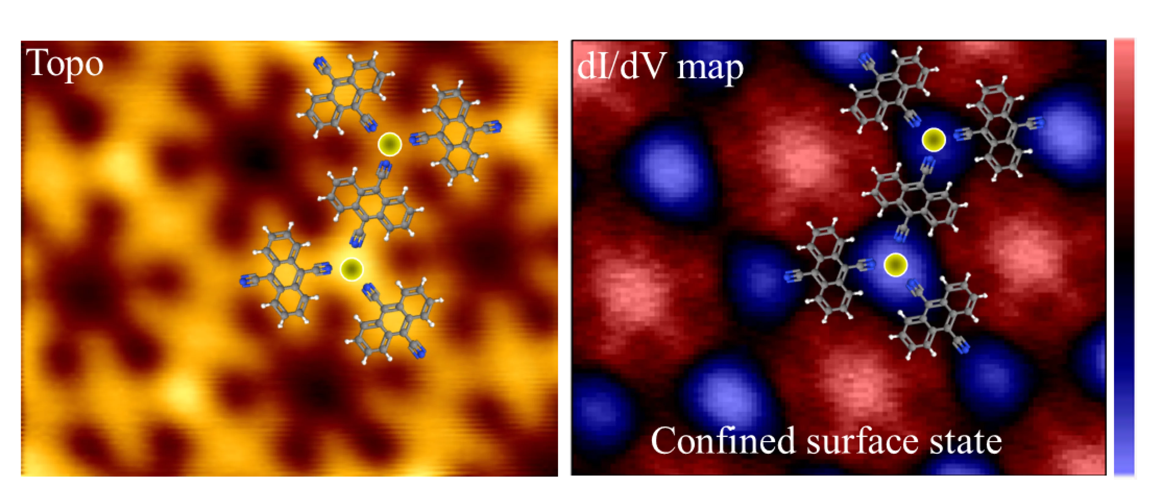 Probing the spatial and momentum distribution of confined surface states in a metal coordination network.