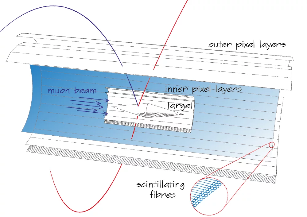 Detector.png
