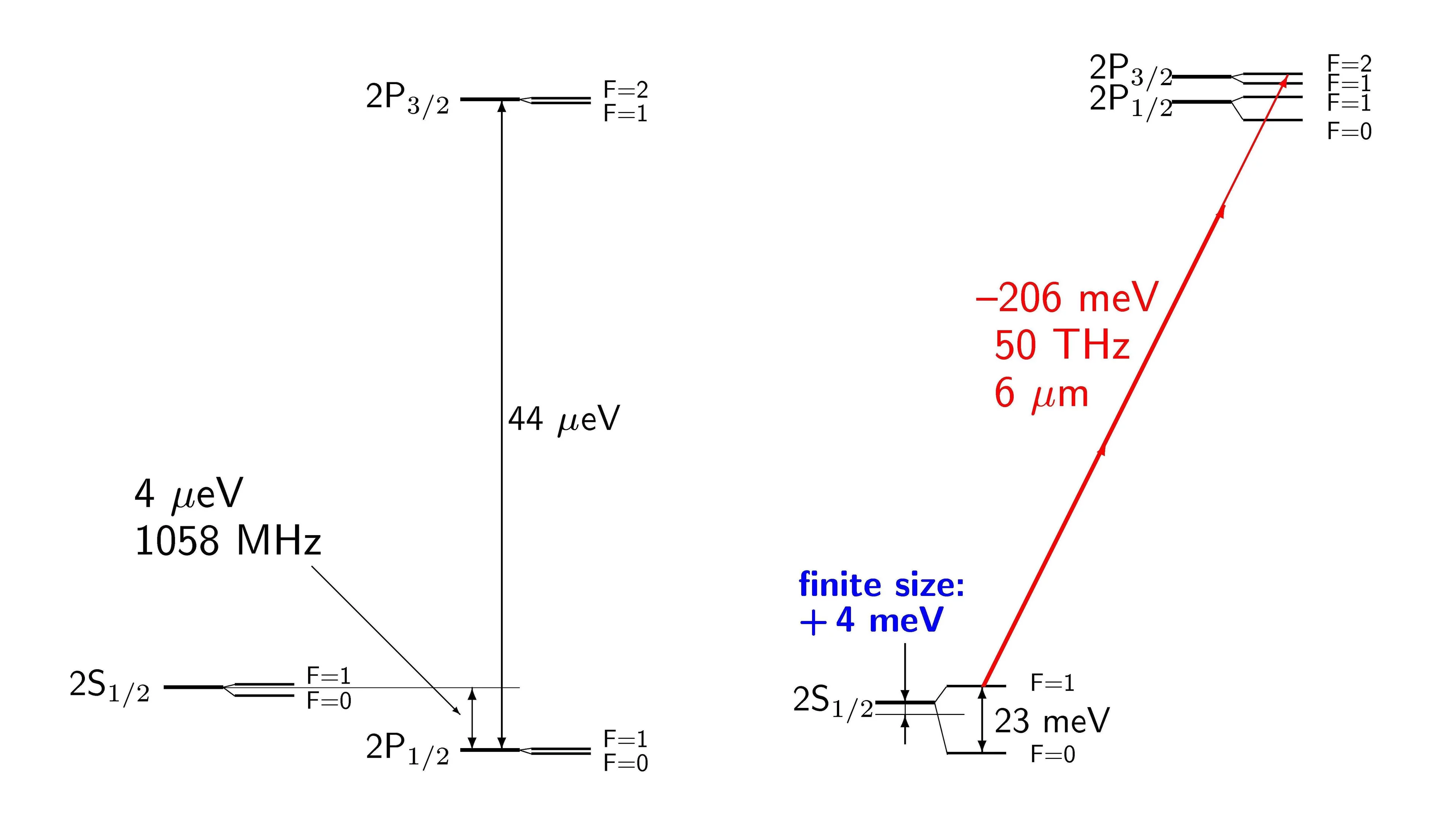 A comparison between n=2 energy levels in electronic hydrogen (left) and muonic hydrogen (right).