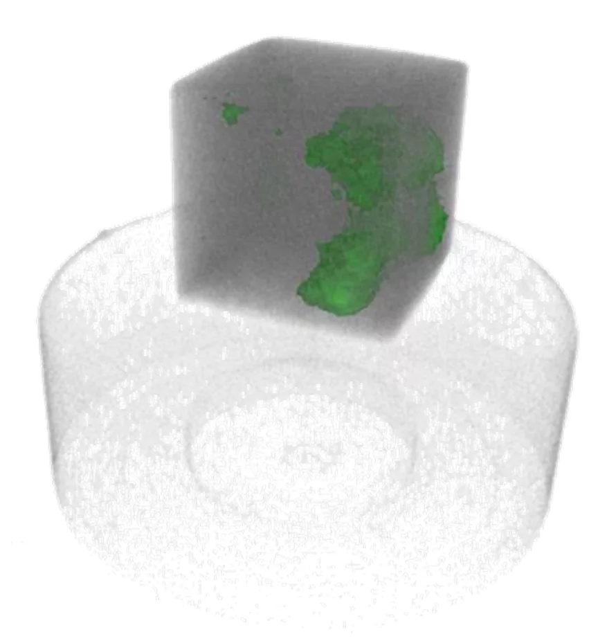 Figure 2: Volume rendering of the macroscopic cross section as reconstructed from transmission data (gray) and regions of increased local Bragg reflectivity (green).