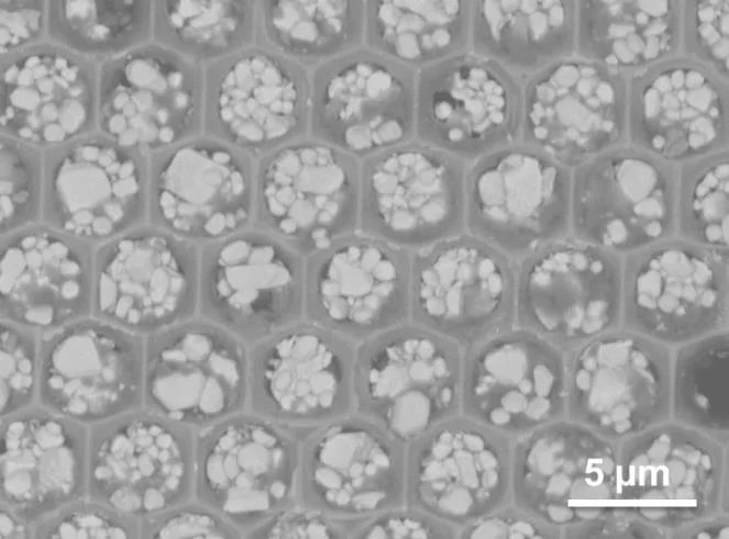 A prototype of the neutron-sensitive microstructured scintillator based on a porous Si- membrane and Gd2O2S:Tb powder phosphor.