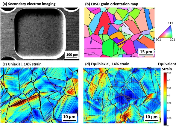 Figure 1. (a)The center of the cruciform thinned by ECMM process. (b) The EBSD grain orientation map taken from the center of the cruciform. (c) HRDIC strain map under uniaxial load with a global strain of 14%. (d) HRDIC strain map under equibiaxial load with a global equivalent strain of 14%.