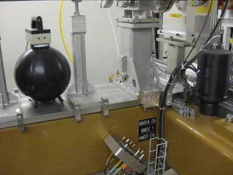 NeuGamDosimetry.jpg