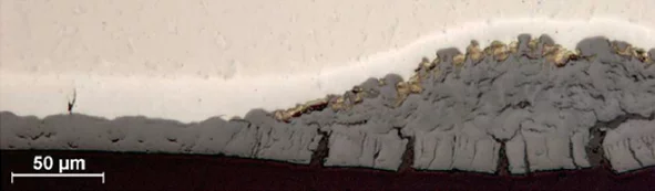 optical micrograph of a Zircaloy-4 in air oxidation at 850°C