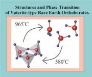 yerbo-web-thumbnail s.jpg