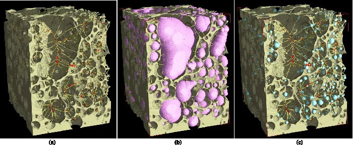 Example of skeletonization techniques used to measure bubble and pore throat sizes. a) The topology preserving skeleton with nodes shown in red at the intersections of the branches.  b) The maximal inscribed spheres used to calculate the bubble volumes. c) The maximal inscribed spheres used to calculate the pore throat diameters.  Wall thicknesses were also determined using maximal inscribed spheres. (Graphic: J. Fife/PSI; D. Baker/McGill University)Please note: all images are for single use only to illust…