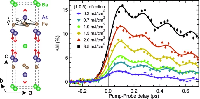 Left: Structure of BaFe2As2 with the motion pattern of the A1g phonon mode (red arrows). 
Right: Pump-induced change of diffraction intensity of the (1 0 5) reflection