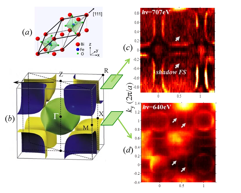 (a) Rhombohedral distortion of the pseudocubic La1−xSrxMnO3 lattice; (b) GGA+U theoretical FS; (c,d) Experimental FS cross-sections, with the shadow contours manifesting the lattice distortion.