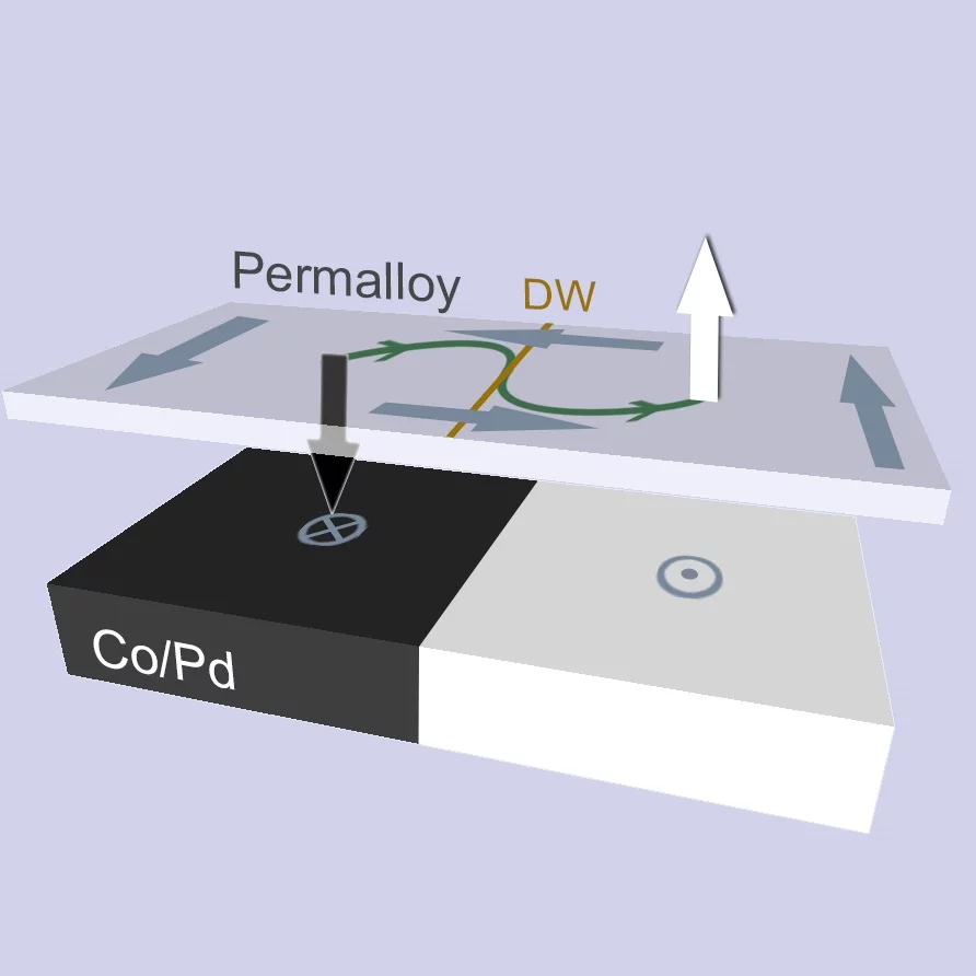 Schematic diagram of vortex core reversal process. The vortex core magnetisation reverses its orientation when crossing a domain boundary (black down arrow to white up arrow).