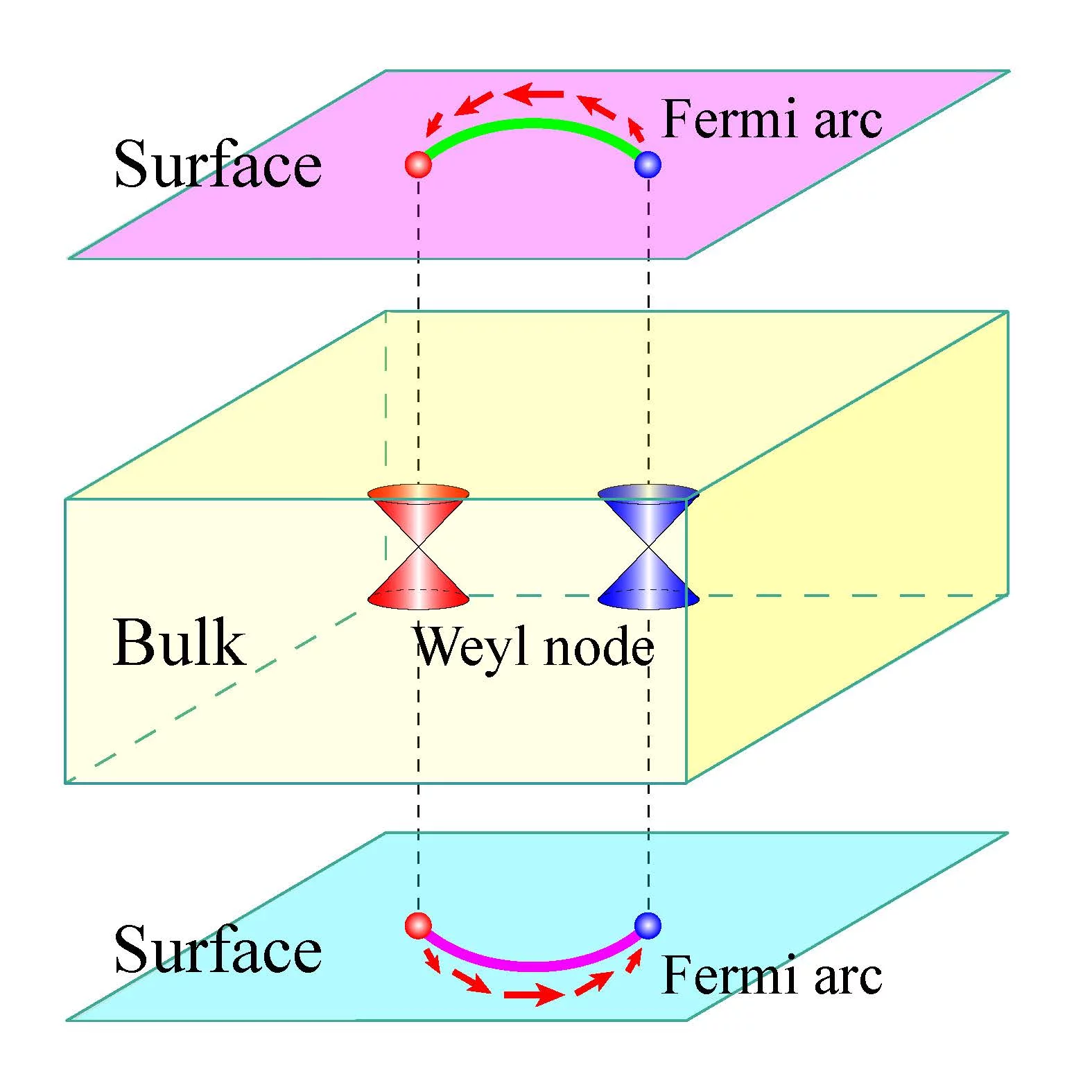 Schematic of a Weyl semimetal with spin polarized Fermi arcs on its surfaces connecting the projections of two Weyl nodes with opposite chirality.