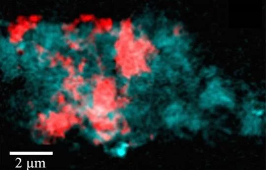 Carbon/iron composite image displaying both the Aβ (cyan) and iron (red) content.