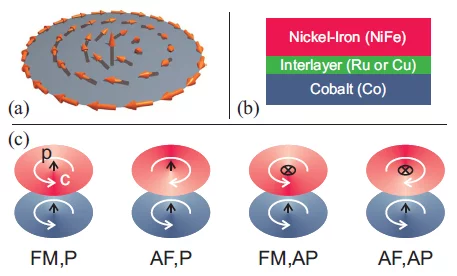 Illustration of magnetic disks and their micromagnetic structures.