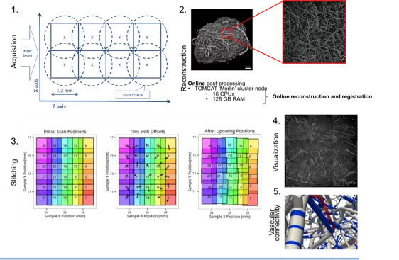 A schematic overview of the project: from image acquisition to processing of TB-sized dataset of the mouse brain.