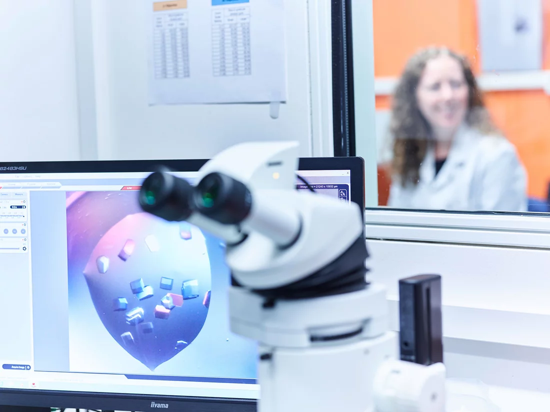 Proteinkristalle unter dem Mikroskop 