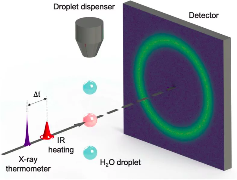 Schematic FEL calorimetry