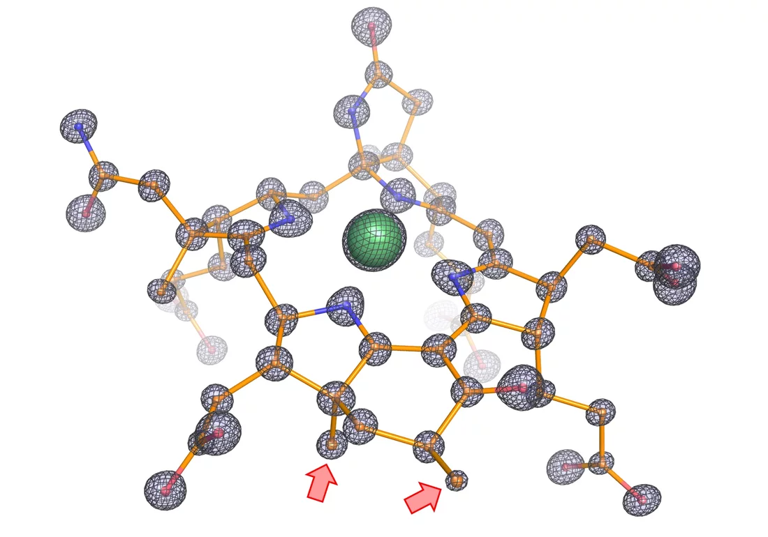 Fig. 2: Molecular structure of the modified cofactor from the enzyme. 