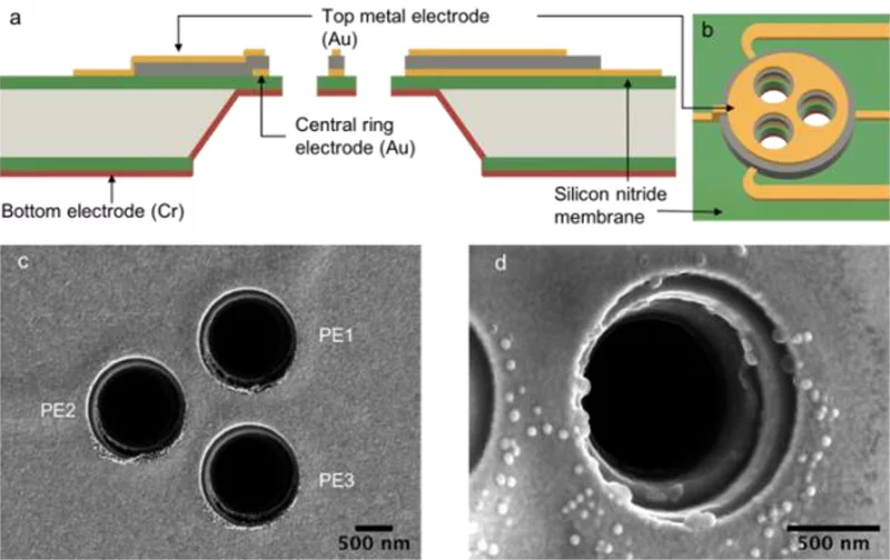 Boersch Phase Shifter