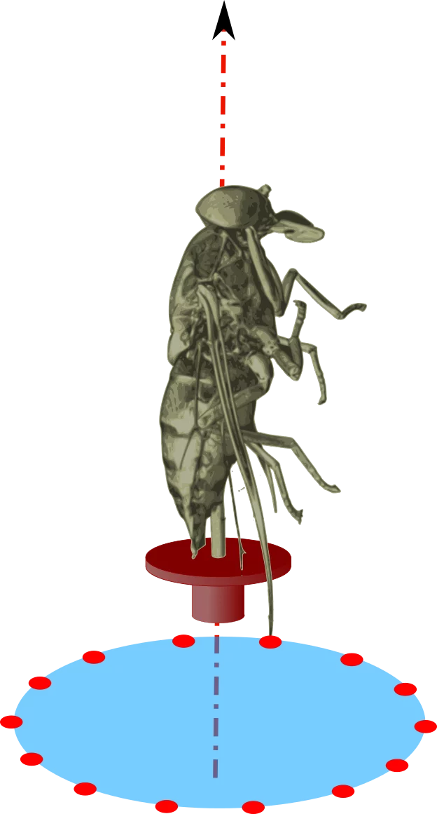 Equidistant scanning