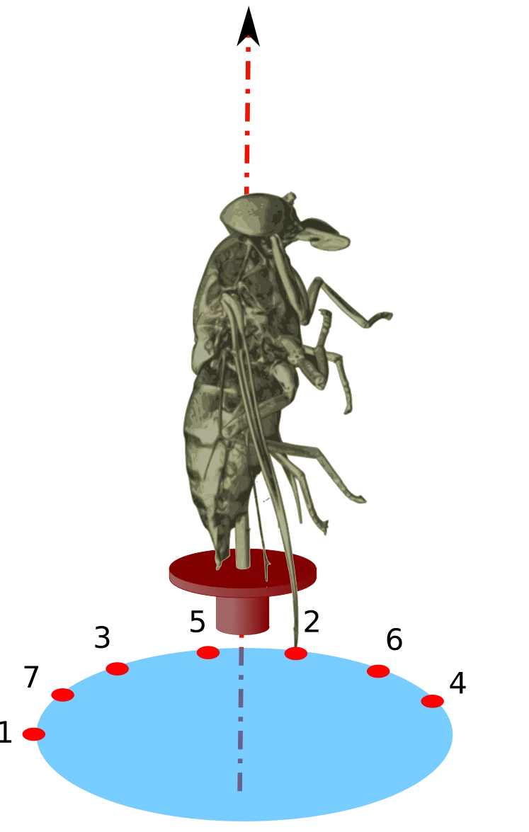 Golden ratio scanning