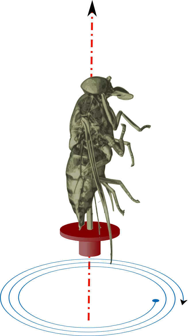 On-the-fly tomography