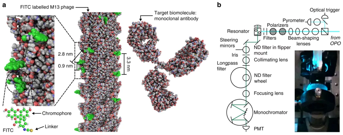 Design of the virus laser