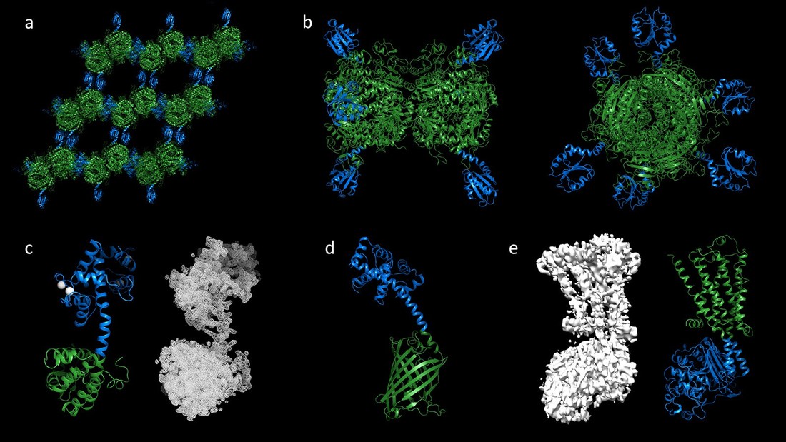 Structure based fusion protein engineering 