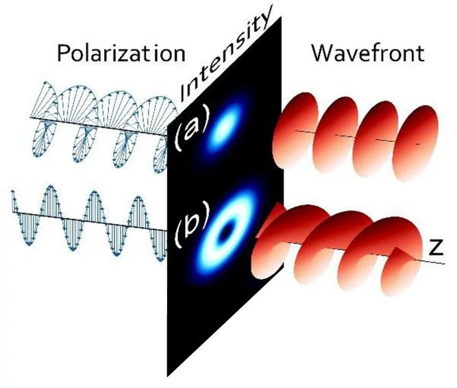 Comparison of circularly polarized light and OAM-carrying light