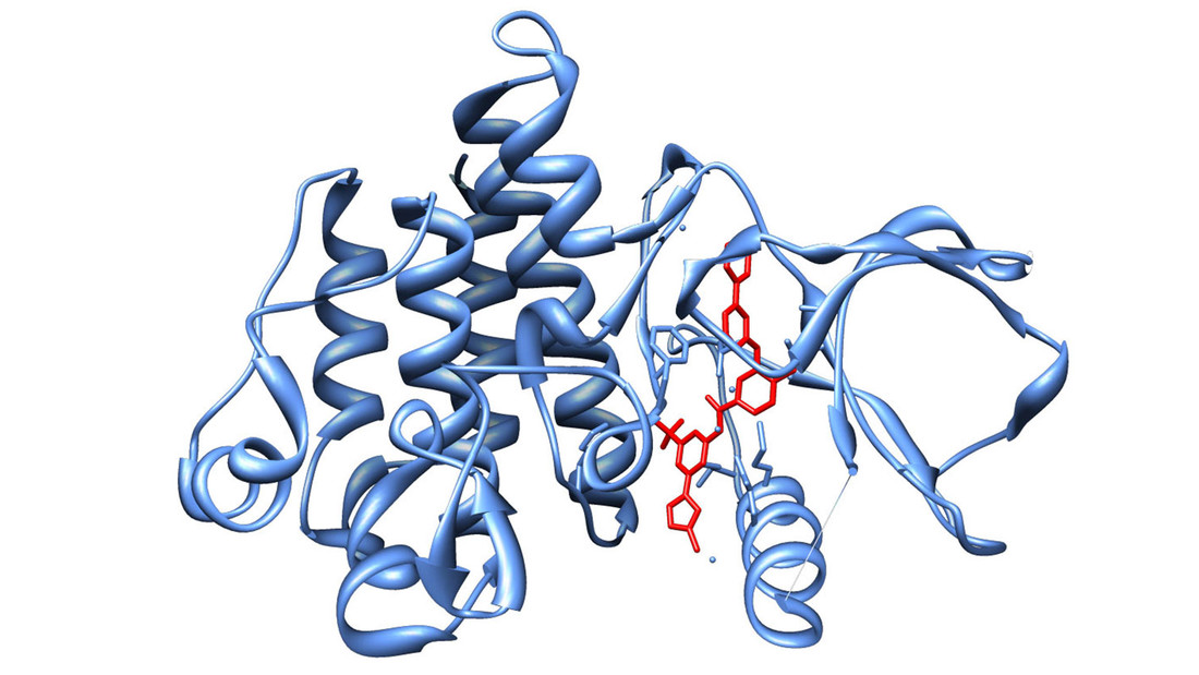 2007: Rapid drug development thanks to X-ray structural analysis at PSI