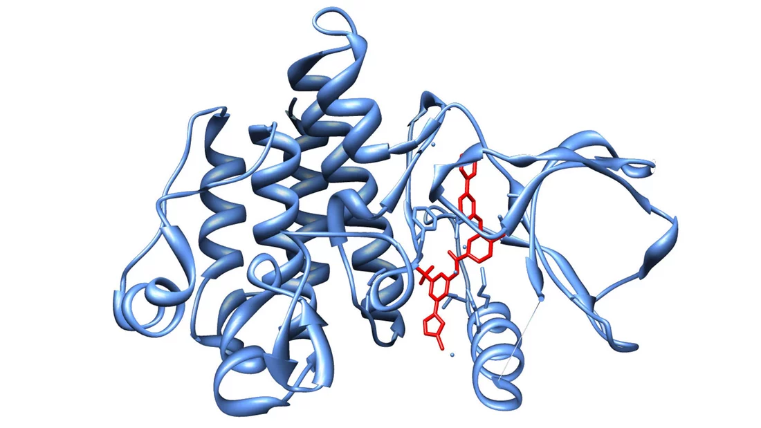 2007: développement rapide de médicaments grâce à l’analyse structurale par diffraction des rayons X au PSI