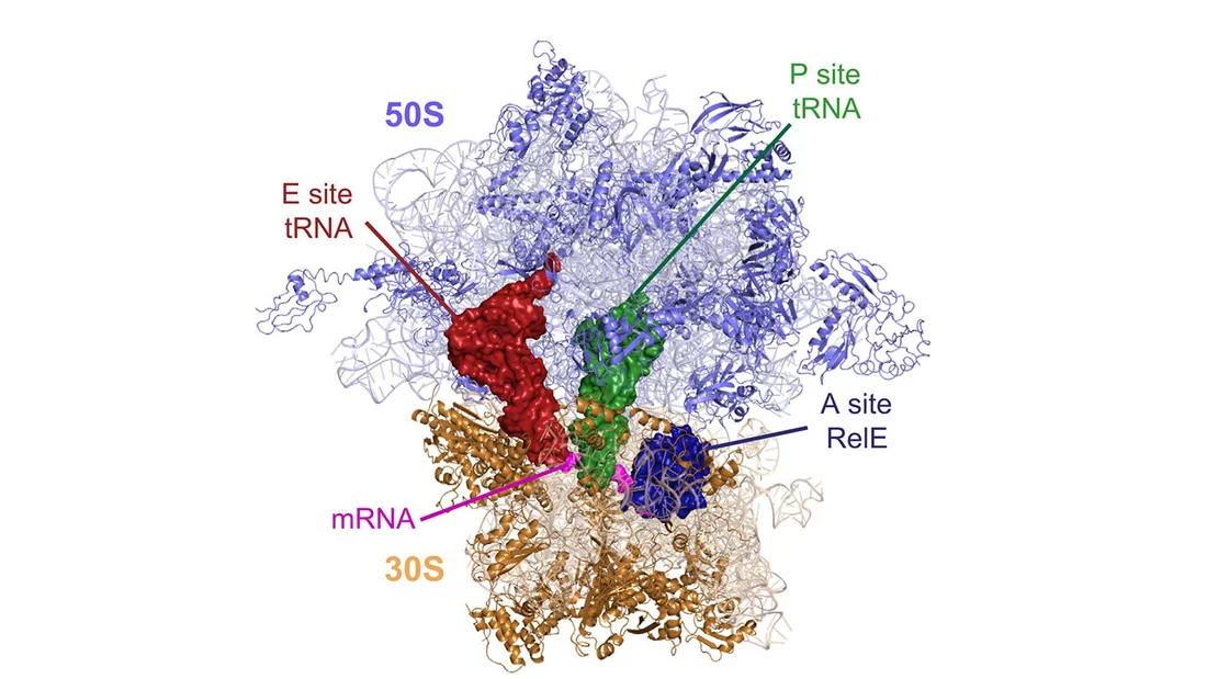 2009: Nobel Prize winner also carried out research at PSI