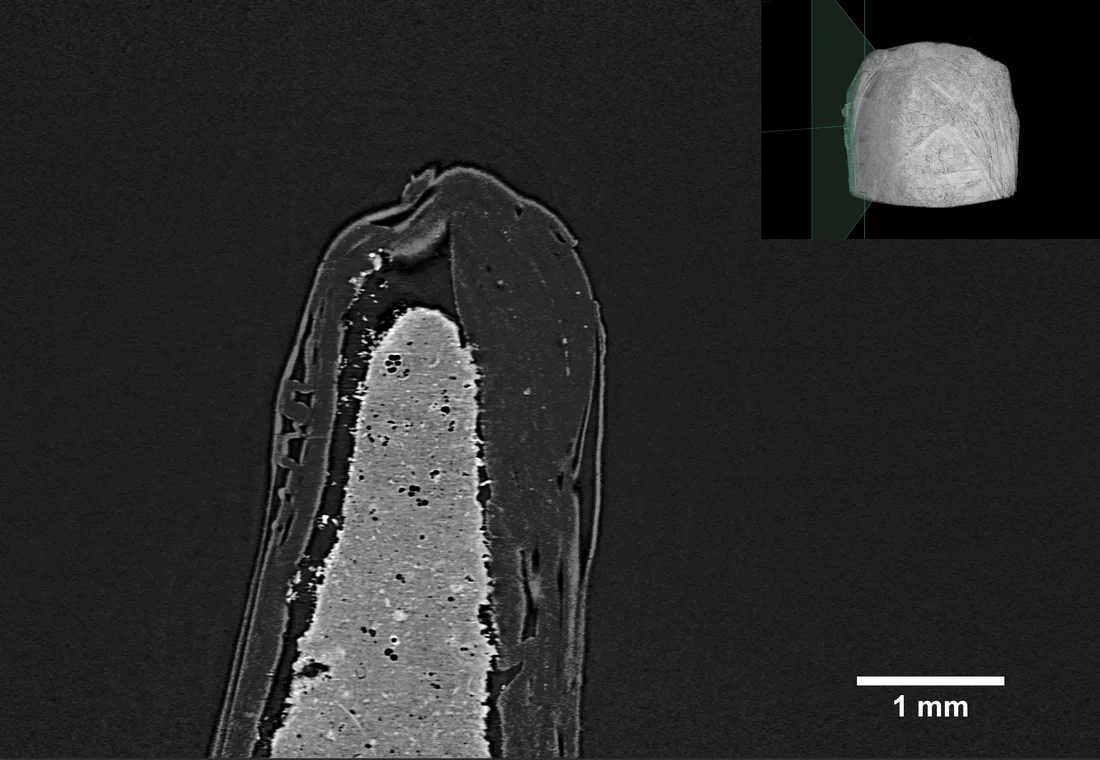 stomcatfirsttomosediment