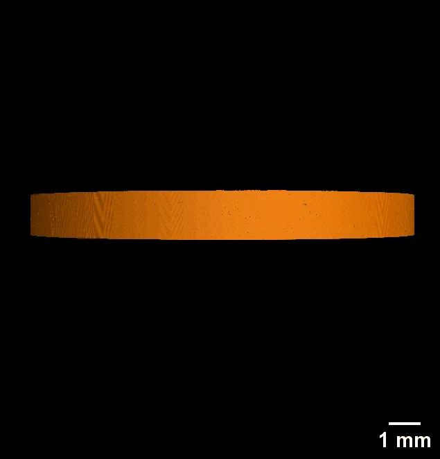 stomcat first light tomo with scale bar