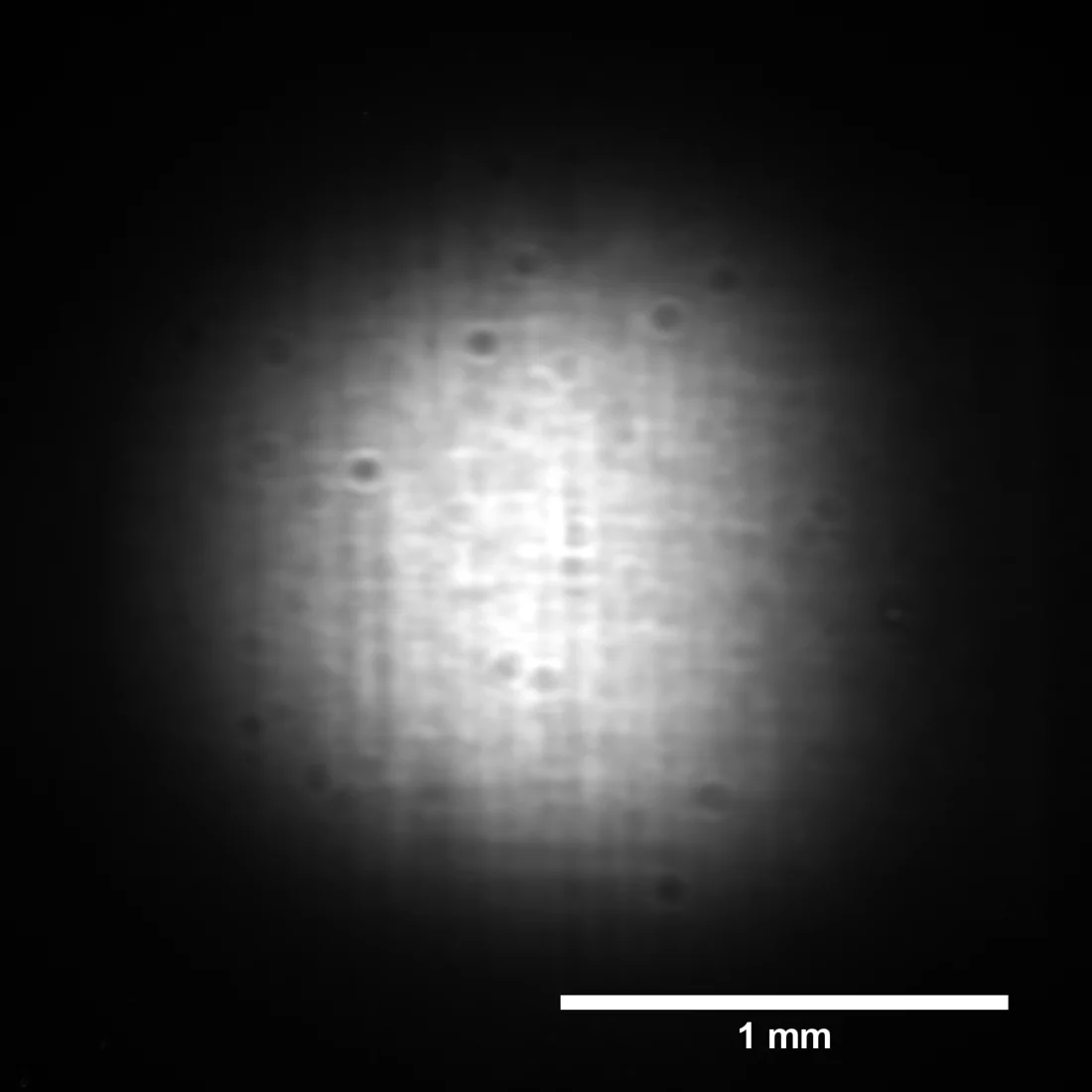 I-TOMCAT First Light