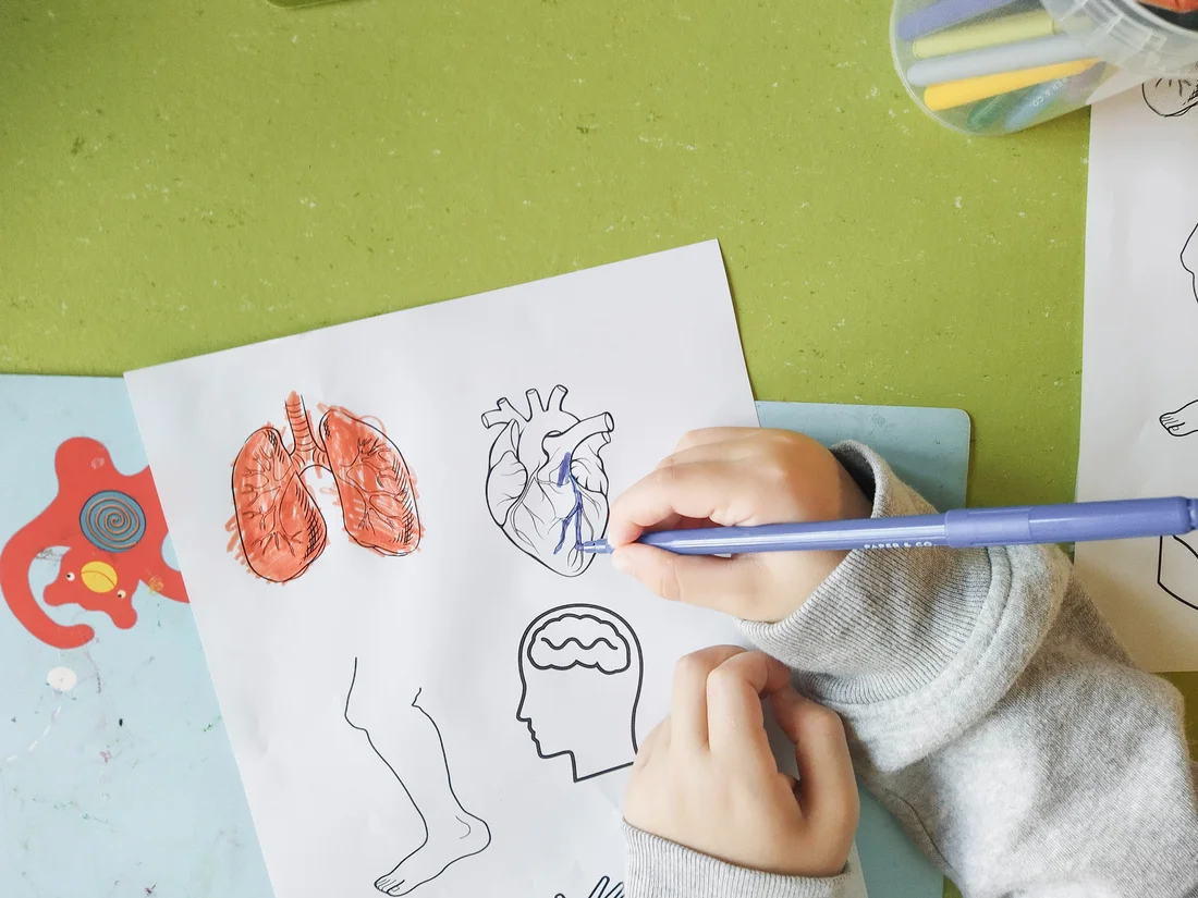 © Paul Scherrer Institut PSI/Elina Tovagliaro