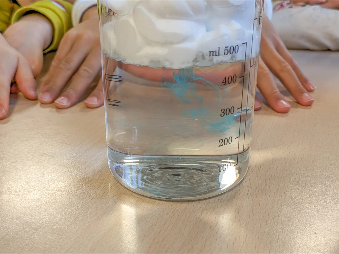 © Paul Scherrer Institut PSI/Elina Tovagliaro