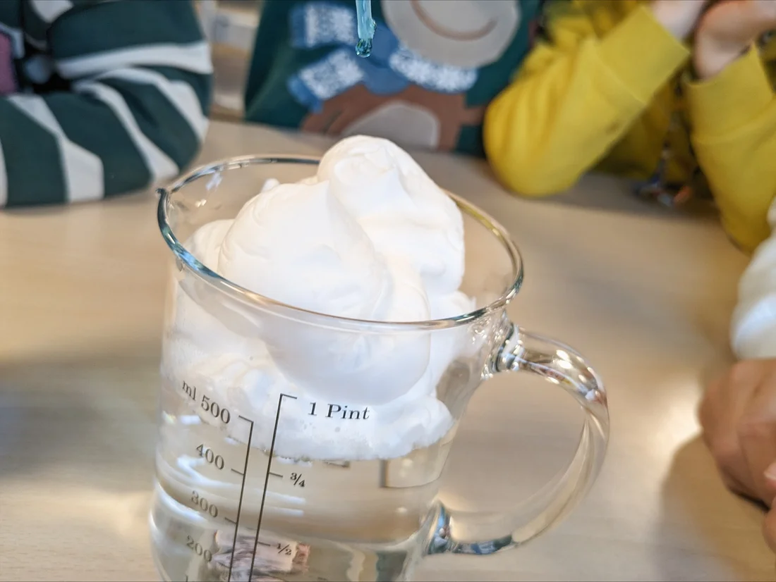 © Paul Scherrer Institut PSI/Elina Tovagliaro