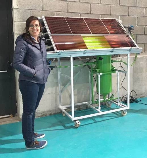 Dye-sensitzied-SolarCell-Bioreactor