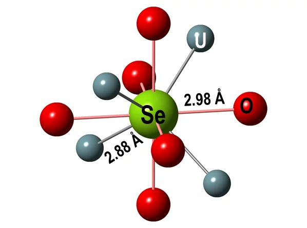 Figure 4: Optimized coordination environment of Se in UO2